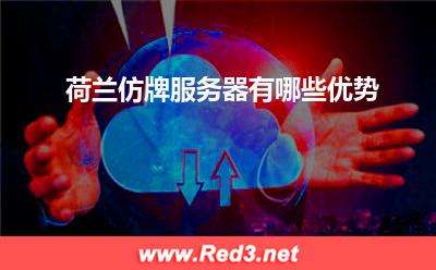 服务器:荷兰仿牌服务器有哪些优势