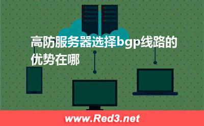 高防服务器选择bgp线路的优势在哪