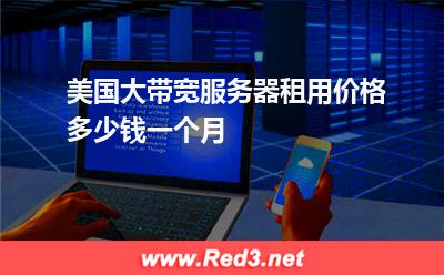 美国大带宽服务器租用价格多少钱一个月