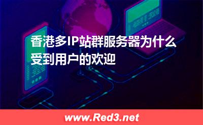 香港多IP站群服务器为什么受到用户的欢迎