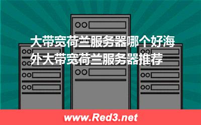 海外大带宽荷兰服务器推荐