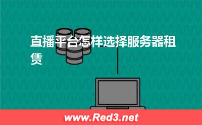 服务器:直播平台怎样选择服务器租赁