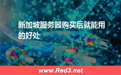 新加坡服务器:新加坡服务器购买后就能用的好处 新加坡服务器,新加坡服务器购买