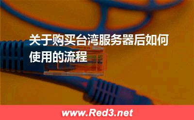 关于购买台湾服务器后如何使用的流程