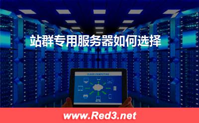 服务器:站群专用服务器如何选择? 服务器,站群服务器