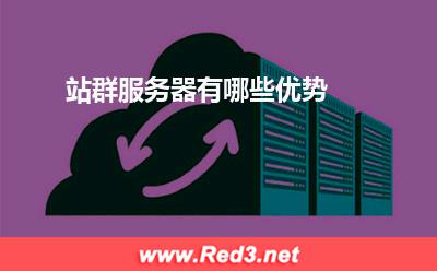 服务器:站群服务器有哪些优势? 服务器,站群服务器