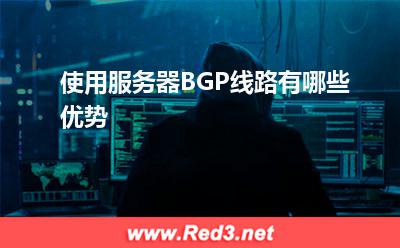 服务器:使用服务器BGP线路有哪些优势