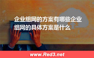企业组网的方案有哪些