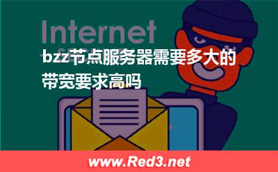 bzz节点服务器需要多大的带宽要求高吗