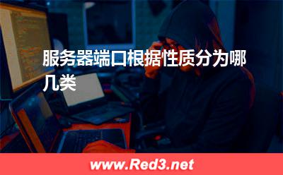服务器:服务器端口根据性质分为哪几类