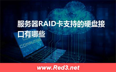 RAID:服务器RAID卡支持的硬盘接口有哪些