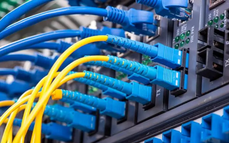 美国大带宽服务器哪家好?不妨来这里寻找答案