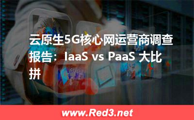 云原生5G核心网运营商调查报告