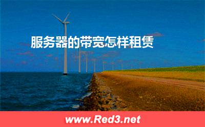 服务器:服务器的带宽怎样租赁