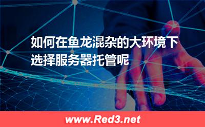 如何在鱼龙混杂的大环境下选择服务器托管呢