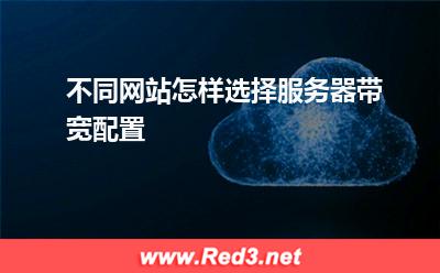 服务器:不同网站怎样选择服务器带宽配置