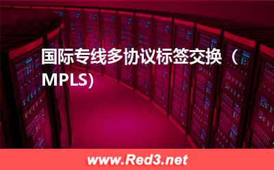国际专线多协议标签交换(MPLS)