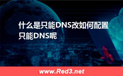 什么是只能DNS,改如何配置只能DNS呢