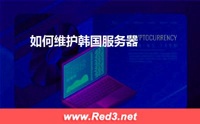 韩国服务器:如何维护韩国服务器? 韩国服务器,服务器