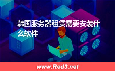 服务器:韩国服务器租赁需要安装什么软件