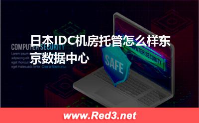 日本IDC机房托管:日本IDC机房托管怎么样东京数据中心 日本IDC,日本IDC机房托管