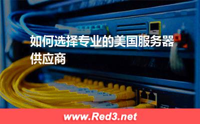 如何选择专业的美国服务器供应商