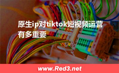 原生ip:原生ip对tiktok短视频运营有多重要 原生ip,tiktok