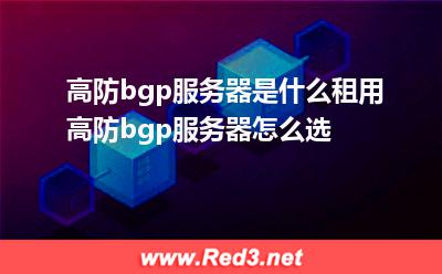 高防bgp服务器是什么租用高防bgp服务器怎么选