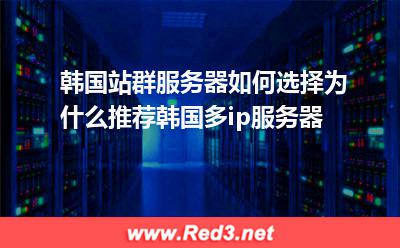 韩国站群服务器如何选择