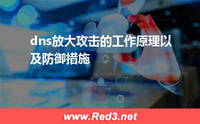 dns:dns放大攻击的工作原理以及防御措施