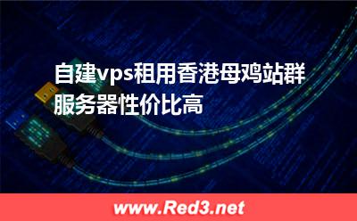 自建vps租用香港母鸡站群服务器性价比高