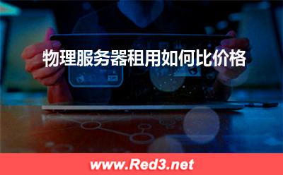服务器:物理服务器租用如何比价格