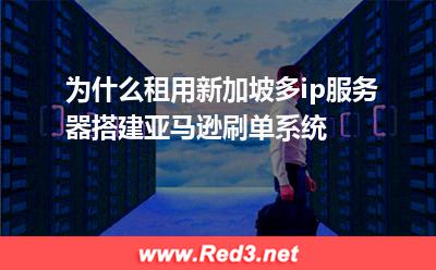 为什么租用新加坡多ip服务器搭建亚马逊刷单系统