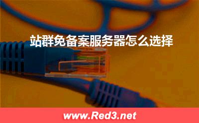 服务器:站群免备案服务器怎么选择