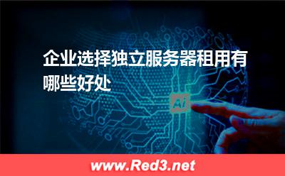 服务器:企业选择独立服务器租用有哪些好处