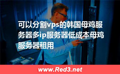 多ip服务器低成本母鸡服务器租用