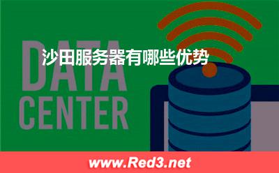 服务器:沙田服务器有哪些优势