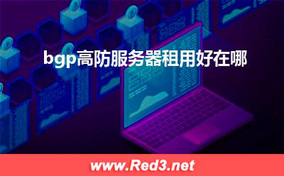 bgp高防:bgp高防服务器租用好在哪