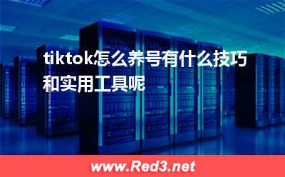 tiktok怎么养号,有什么技巧和实用工具呢