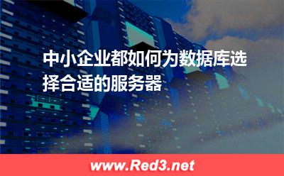 中小企业都如何为数据库选择合适的服务器
