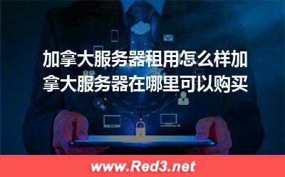 加拿大服务器:加拿大服务器租用怎么样加拿大服务器在哪里可以购买 加拿大服务器,加拿大服务器租用
