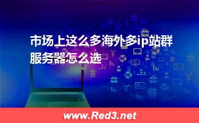 海外多ip站群服务器怎么选