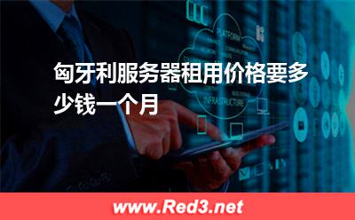 匈牙利服务器租用价格要多少钱一个月