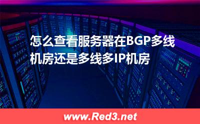 怎么查看服务器在BGP多线机房还是多线多IP机房