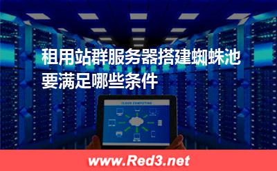 搭建蜘蛛池租用香港站群服务器