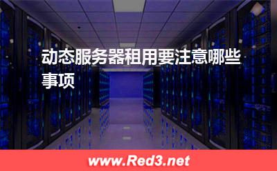 服务器:动态服务器租用要注意哪些事项