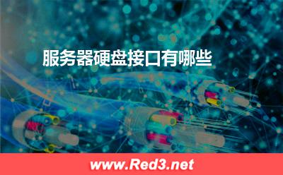 服务器:服务器硬盘接口有哪些? 服务器