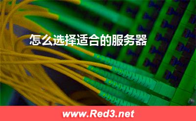 服务器:怎么选择适合的服务器