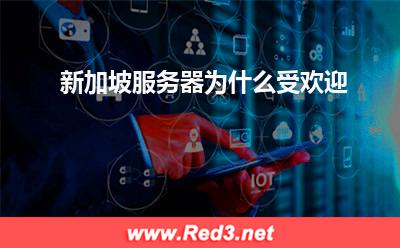 新加坡服务器:新加坡服务器为什么受欢迎