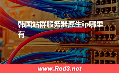 韩国站群服务器原生ip哪里有